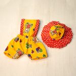 Yellow Shirt Pant Front Of Kanha